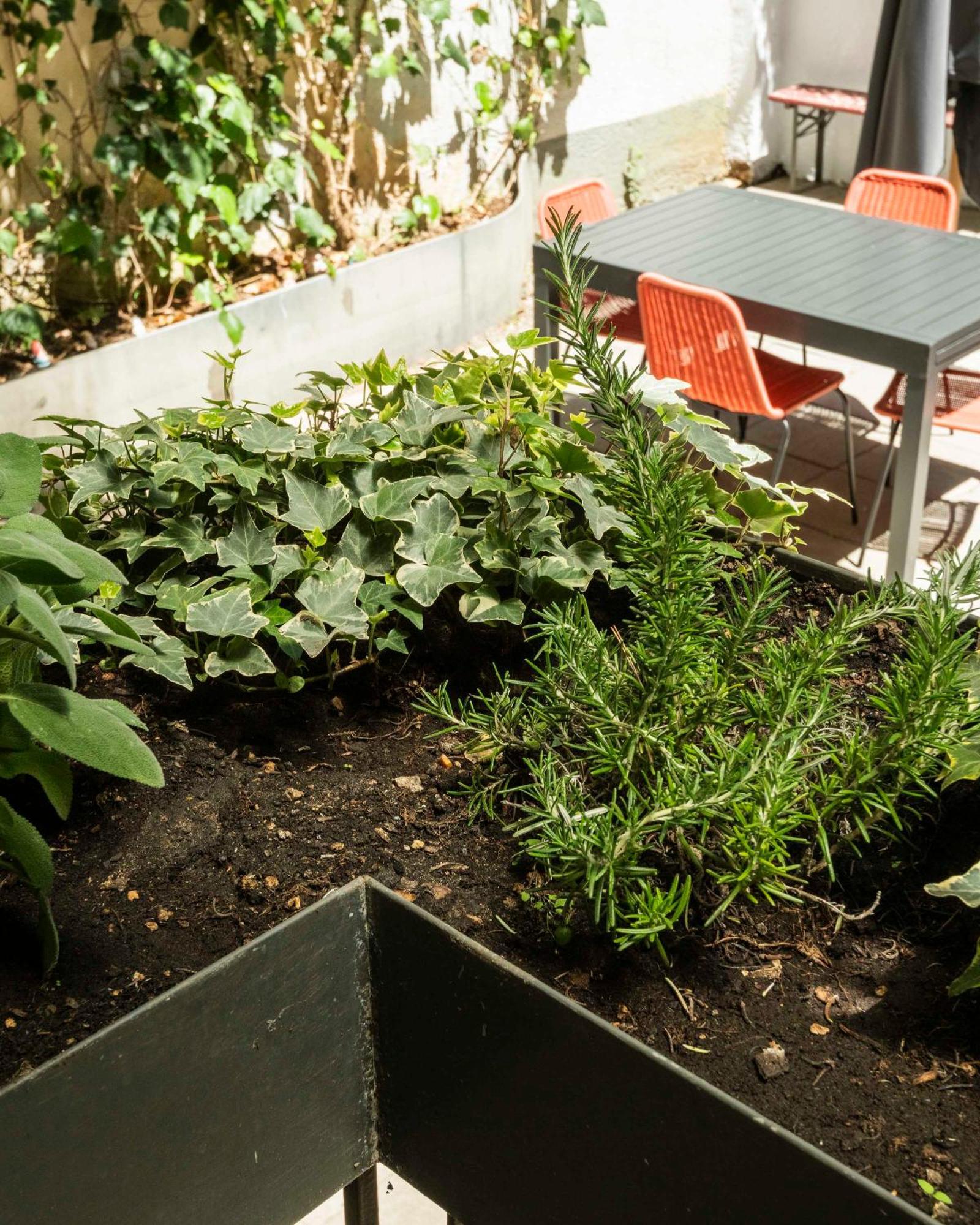 Apartment Piazza Cavour Zen Garden-zen36